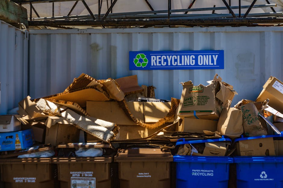 A collection of flattened and crumpled cardboard boxes and paper packaging materials are stacked in front of a metal shipping container, which has a blue sign reading 'RECYCLING ONLY' with a green recycling symbol. The boxes vary in size, with some showing printed branding, and are a mix of brown kraft and recycled paper textures, with some appearing torn or bent. The cardboard packaging sits on top of or leaning against brown and blue recycling bins designated for paper waste, which are positioned on a paved surface. Above the containers, part of a metallic framework or shelving is visible, suggesting an organized commercial or industrial waste collection area dedicated to recyclable materials. Natural daylight illuminates the scene, highlighting the corrugated surface of the containers and the torn edges of the cardboard, emphasizing the focus on waste sorting and disposal for recycling purposes. Rubbish Removal Maida Vale specializes in private waste handling, including the collection of recyclable packaging materials in accordance with local disposal guidelines and environmentally responsible practices.