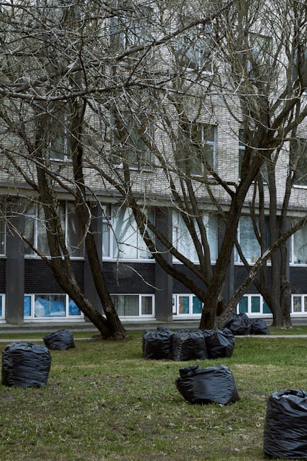 Several black plastic garbage bags are scattered on a grassy area in front of a residential building, with some bags leaning against the trunks of leafless trees. The building behind features a modern design with large windows and a combination of light grey and dark grey exterior panels. The scene is set outdoors, with overcast lighting creating a neutral, subdued atmosphere. The bags are likely filled with domestic waste, and their placement suggests an informal rubbish collection or disposal scene, which a rubbish removal service like Rubbish Removal Maida Vale might handle as part of an alternative waste removal solution. The environment indicates an urban or suburban setting, with a pavement running along the field and trees that are seasonally bare, possibly during late autumn or winter. Overall, the image captures the practical aspect of waste management outside a residential block, emphasizing the importance of organized rubbish collection to maintain cleanliness and tidy outdoor spaces.